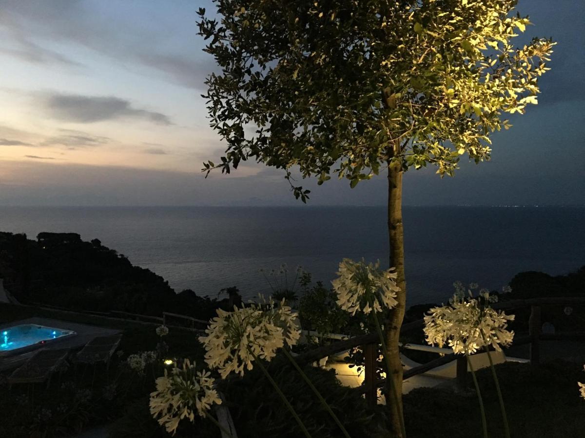 Agapanto Luxury Accommodation Casamicciola Terme Ngoại thất bức ảnh