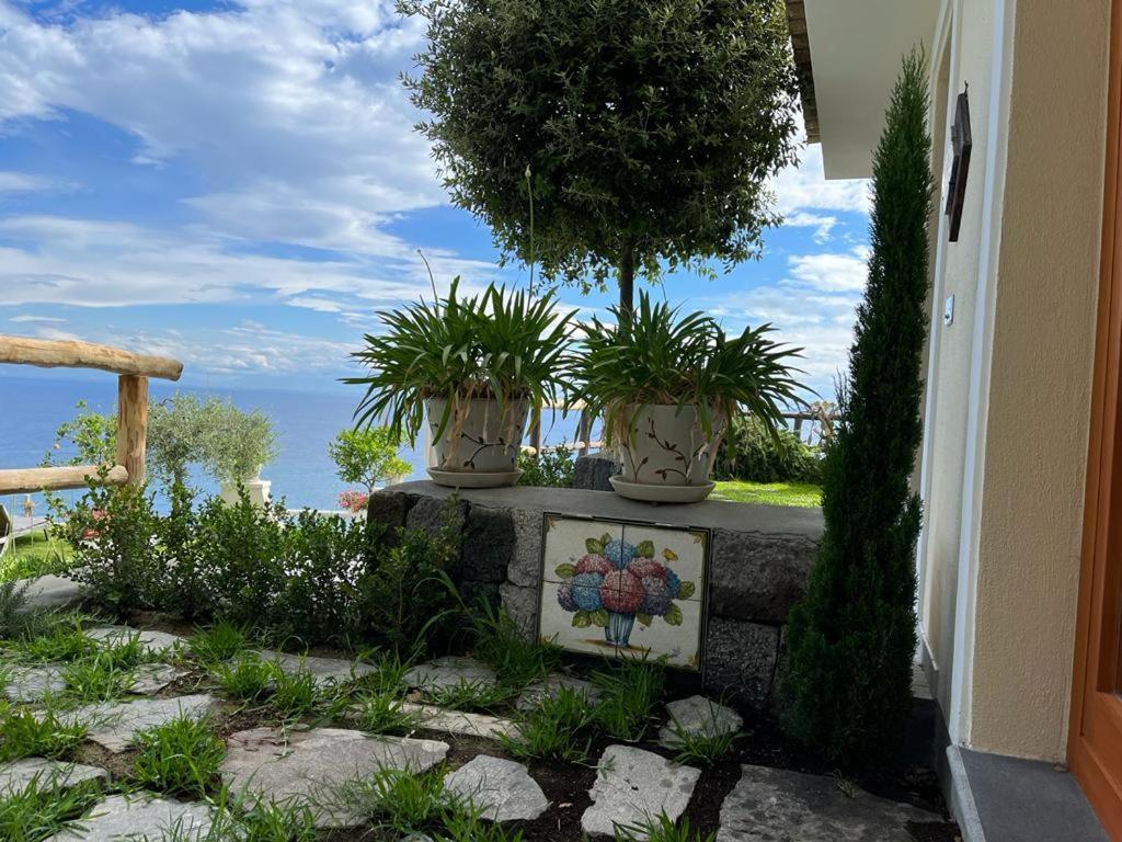 Agapanto Luxury Accommodation Casamicciola Terme Ngoại thất bức ảnh