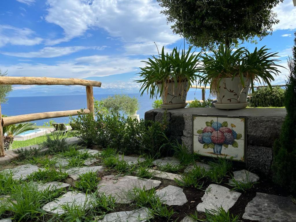 Agapanto Luxury Accommodation Casamicciola Terme Ngoại thất bức ảnh