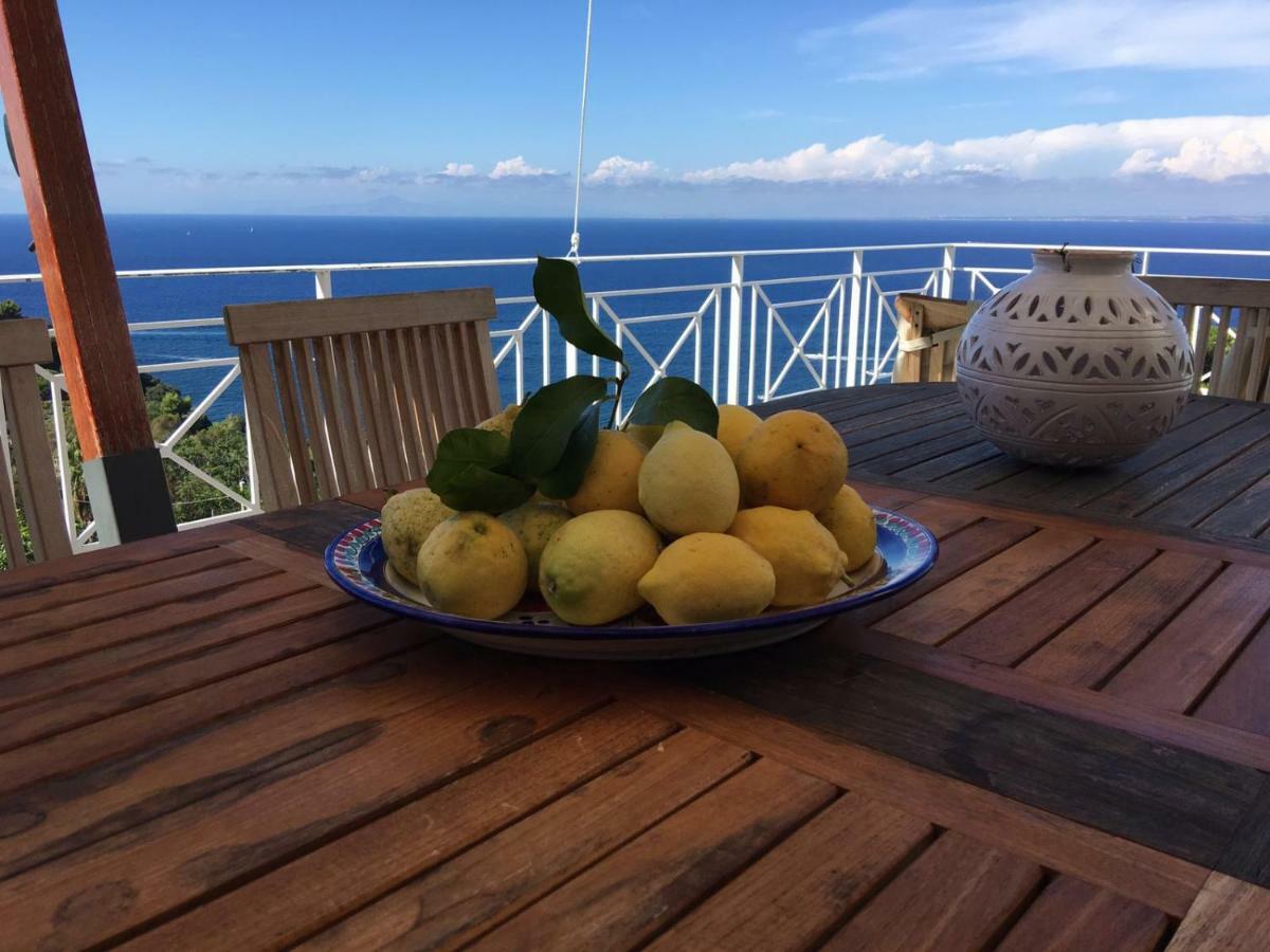 Agapanto Luxury Accommodation Casamicciola Terme Ngoại thất bức ảnh